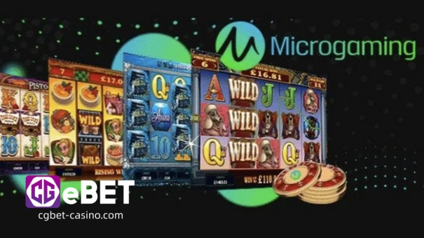 Itinatag noong 1994, ang Microgaming ang unang kumpanya na nag-aalok ng software ng online casino. Sa simula, nagtagumpay ito sa lahat ng nagawa nito at kahit ngayon ay itinuturing na isa sa mga pinakamahusay na provider ng software. Higit sa 600 brand at mahigit 40 poker room ang gumagamit ng software nito. Nag-aalok ito ng sarili nitong bingo, poker, at higit sa 350 laro na tugma sa mga mobile device.